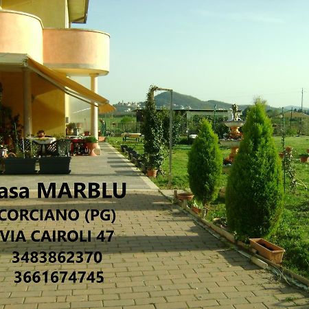 فندق Casa Marblu Via Cairoli, 47 كورتْشّانو المظهر الخارجي الصورة